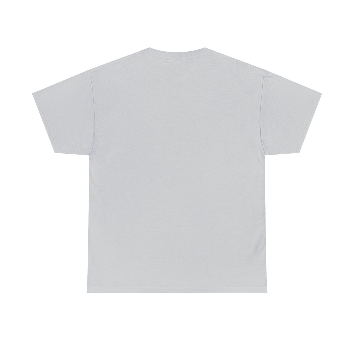 Big Unisex Heavy Cotton Tee